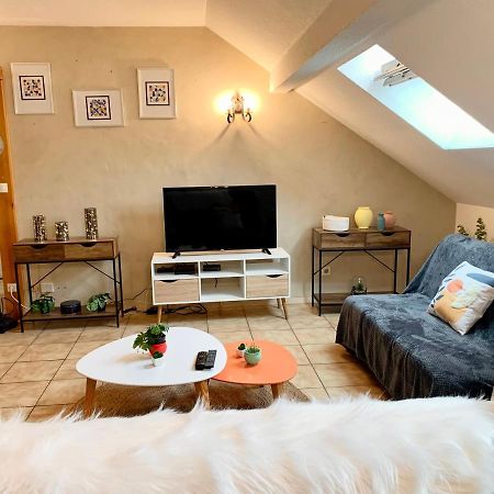 Charmant Appart Sous Toits Proche Chateau Des Ducs 尚贝里 外观 照片